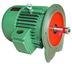 YEZ Tapered Rotor Brake Motor Special Electric Motors 50Hz 60Hz for Hoist